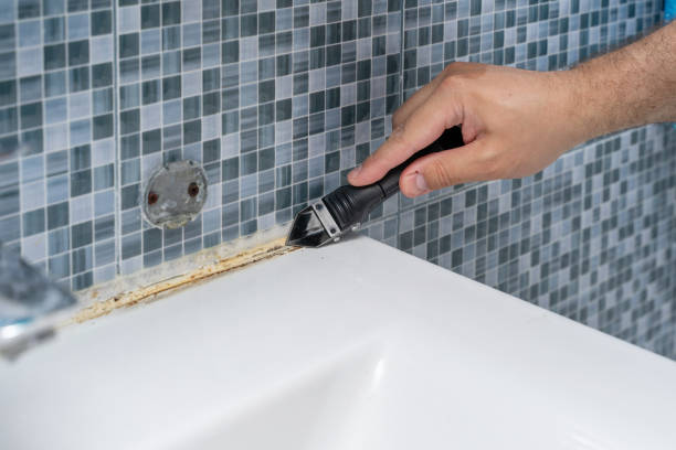 Best Toxic Mold Removal  in Belfair, WA