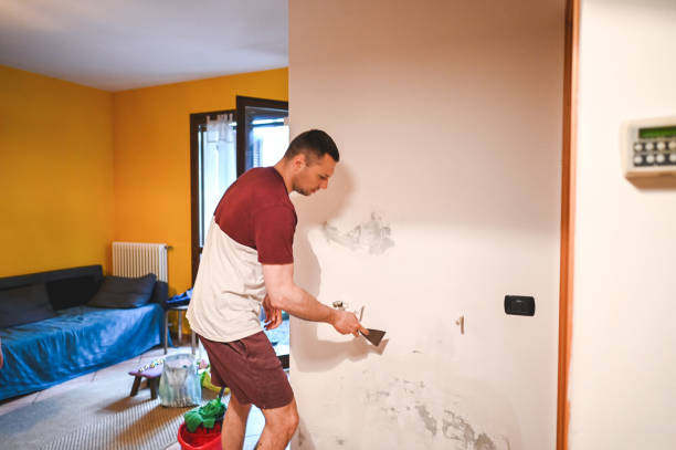 Best Mold Removal Near Me  in Belfair, WA